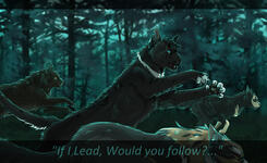 Fullbody Feral